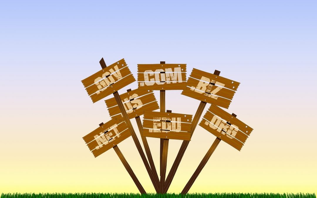 What’s in a [Domain] name?